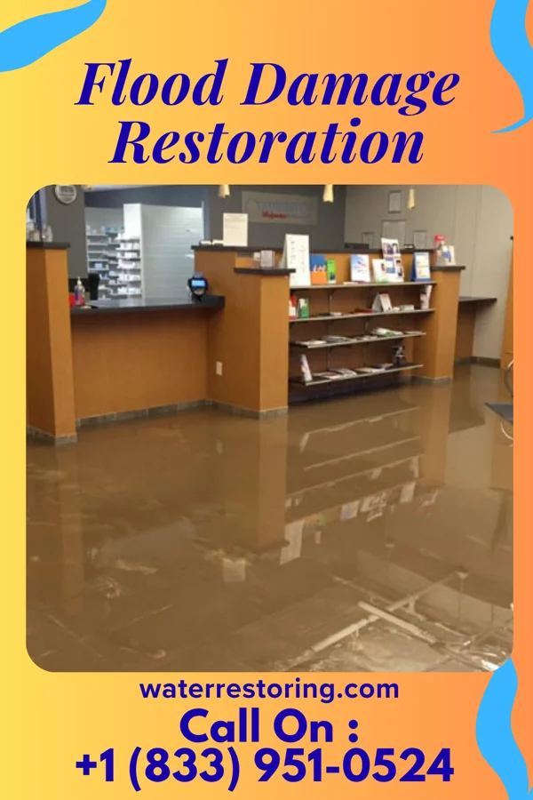 Flood Damage Restoration in Romulus, MI