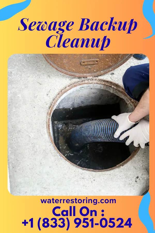 Sewage Backup Cleanup in Romulus, MI